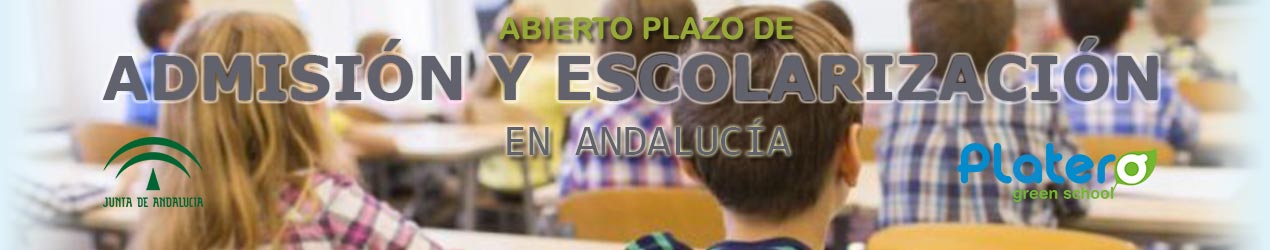 Escolarización Platero
